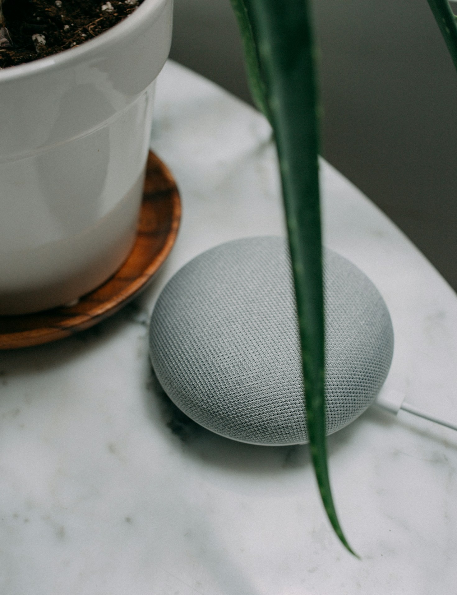 Choosing the Right Virtual Assistant for Your Needs